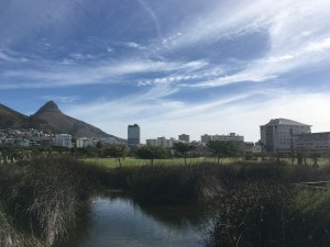 Green Point Park