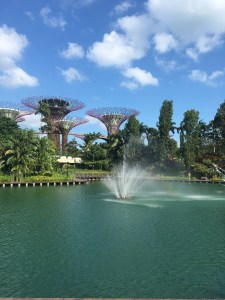 Gardens by the Bay