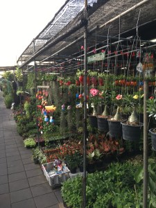 Blumenmarkt