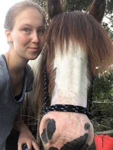 Selfie mit Pferd