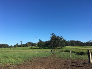 Farm in NSW