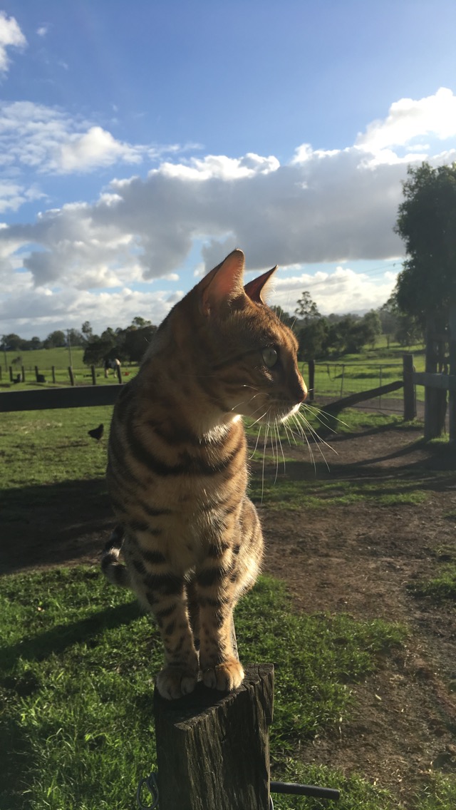 Australien – drei Wochen als Volontärin auf einer&nbsp;Farm
