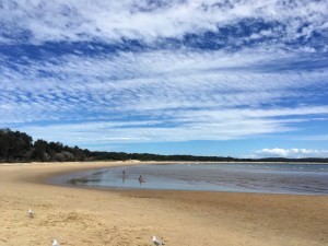 Strand in South West Rocks