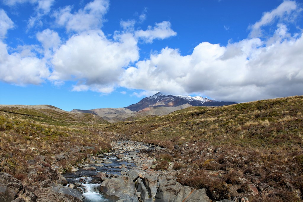 Meine Reise durch Neuseeland – Die Nordinsel Teil&nbsp;2