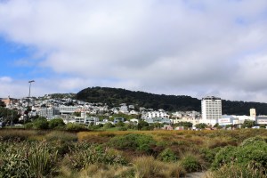 Wellington