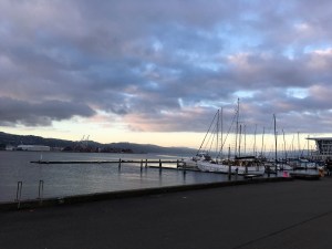 Hafen in Wellington