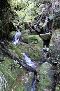 Abel Tasman National Park