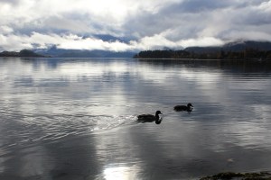 Lake Wanaka