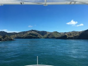 Blick von der Fähre auf die Südinsel, NZ