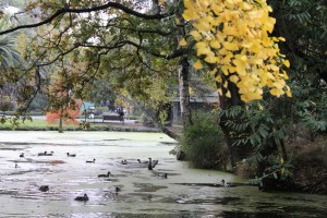 Botanischer Garten Christchurch