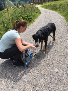 Wasser teilen mit dem Hund