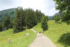 Allgäu